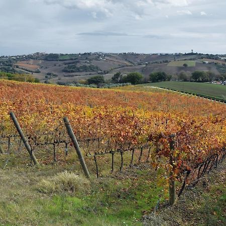 Agriturismo Al Rifugio Divino Belvedere Ostrense Zewnętrze zdjęcie