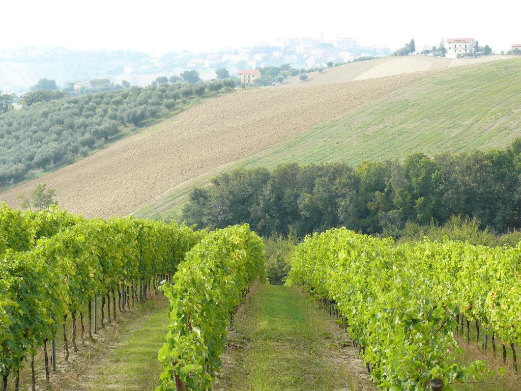 Agriturismo Al Rifugio Divino Belvedere Ostrense Zewnętrze zdjęcie
